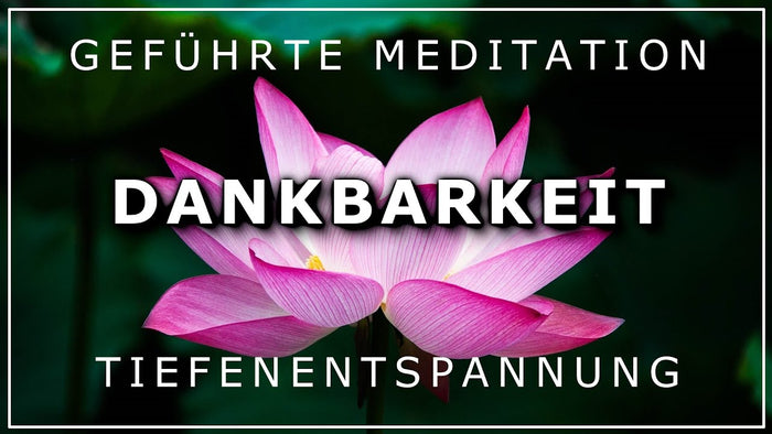 Heute Premiere der Meditation "Dankbarkeit" um 20.00 Uhr